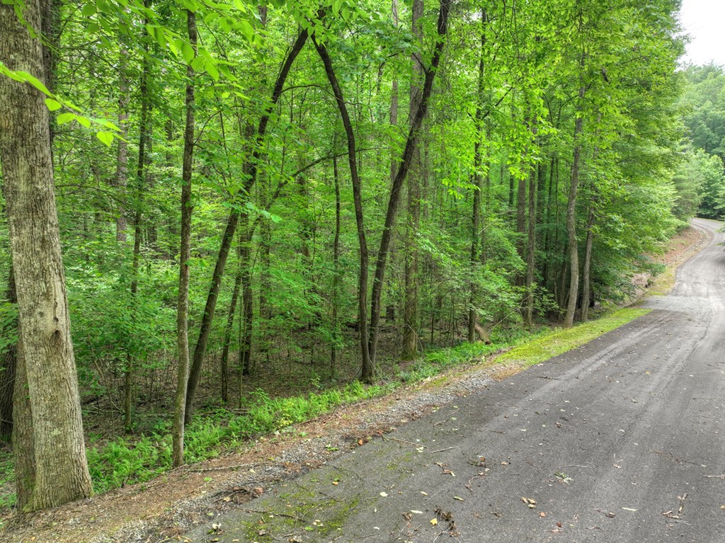 7 Mountain Springs Road Ellijay, GA 30540 - Photo 36 of 52 Gallery Image 36