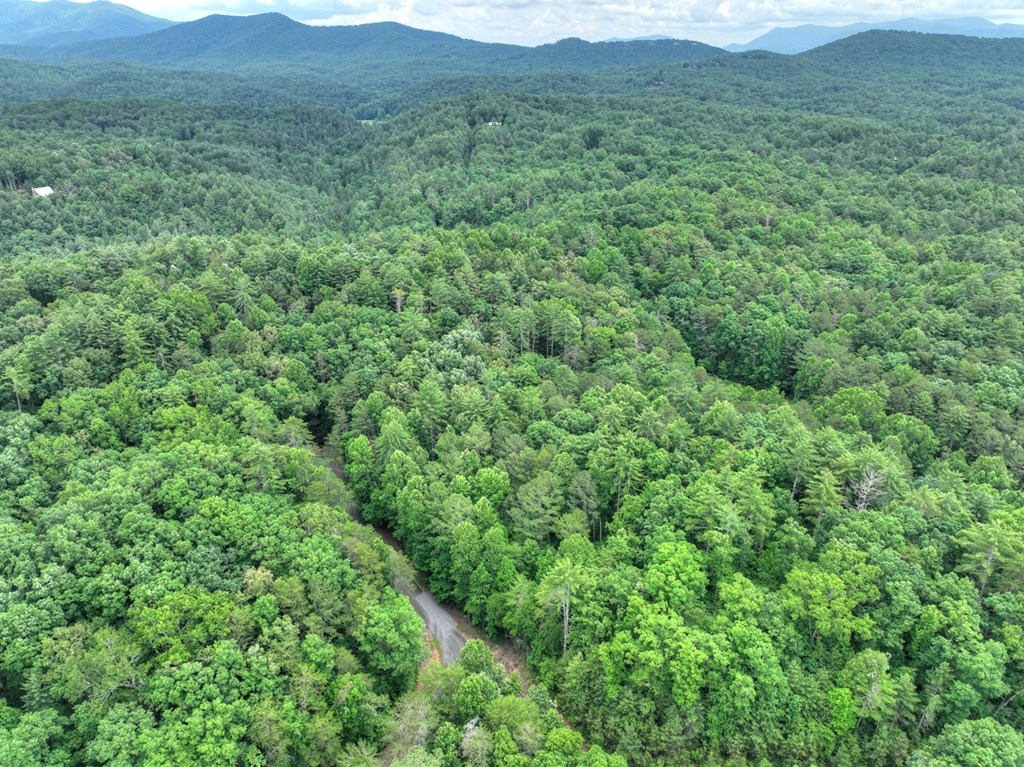 7 Mountain Springs Road Ellijay, GA 30540 - Photo 39 of 52 Gallery Image 39