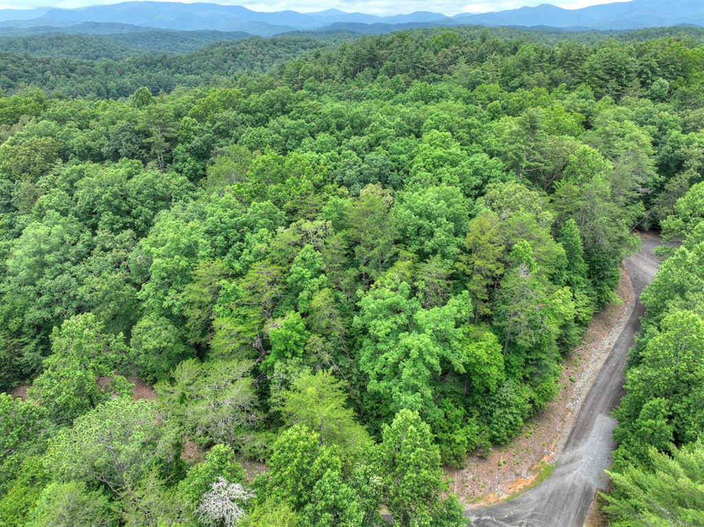 7 Mountain Springs Road Ellijay, GA 30540 - Photo 50 of 52 Gallery Image 50