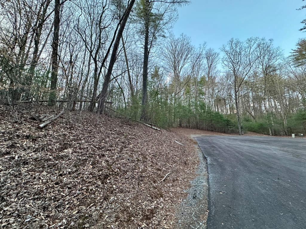 7 Mountain Springs Road Ellijay, GA 30540 - Photo 7 of 52 Gallery Image 7