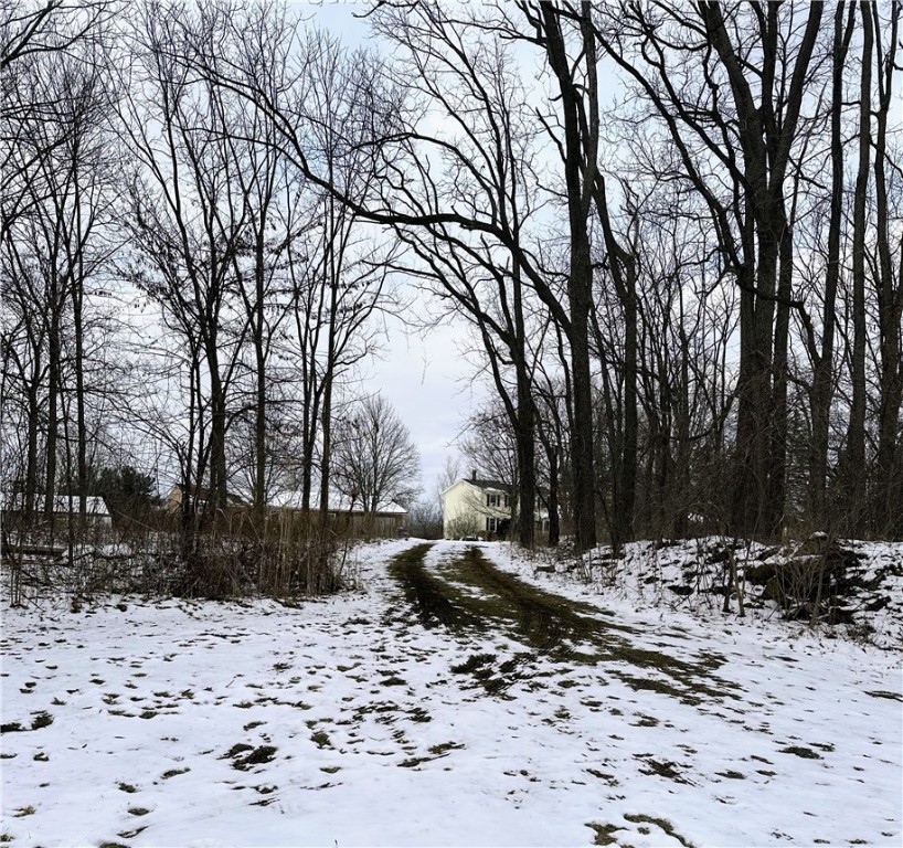 1363 Paul Road Chili, NY 14428 - Photo 19 of 24