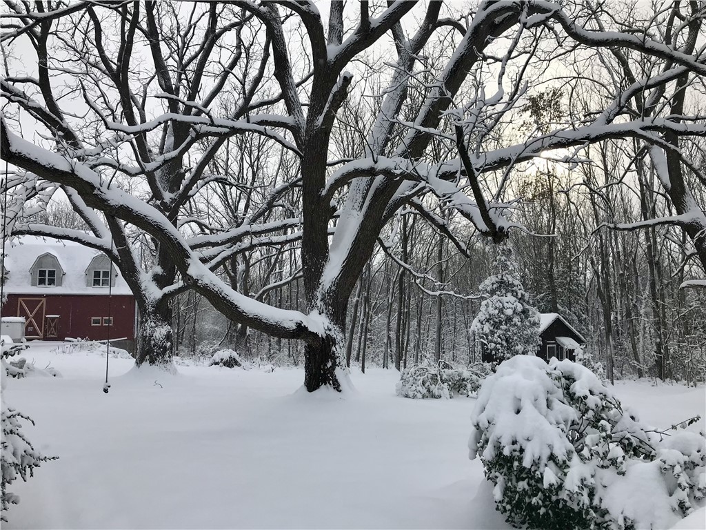 1363 Paul Road Chili, NY 14428 - Photo 20 of 24