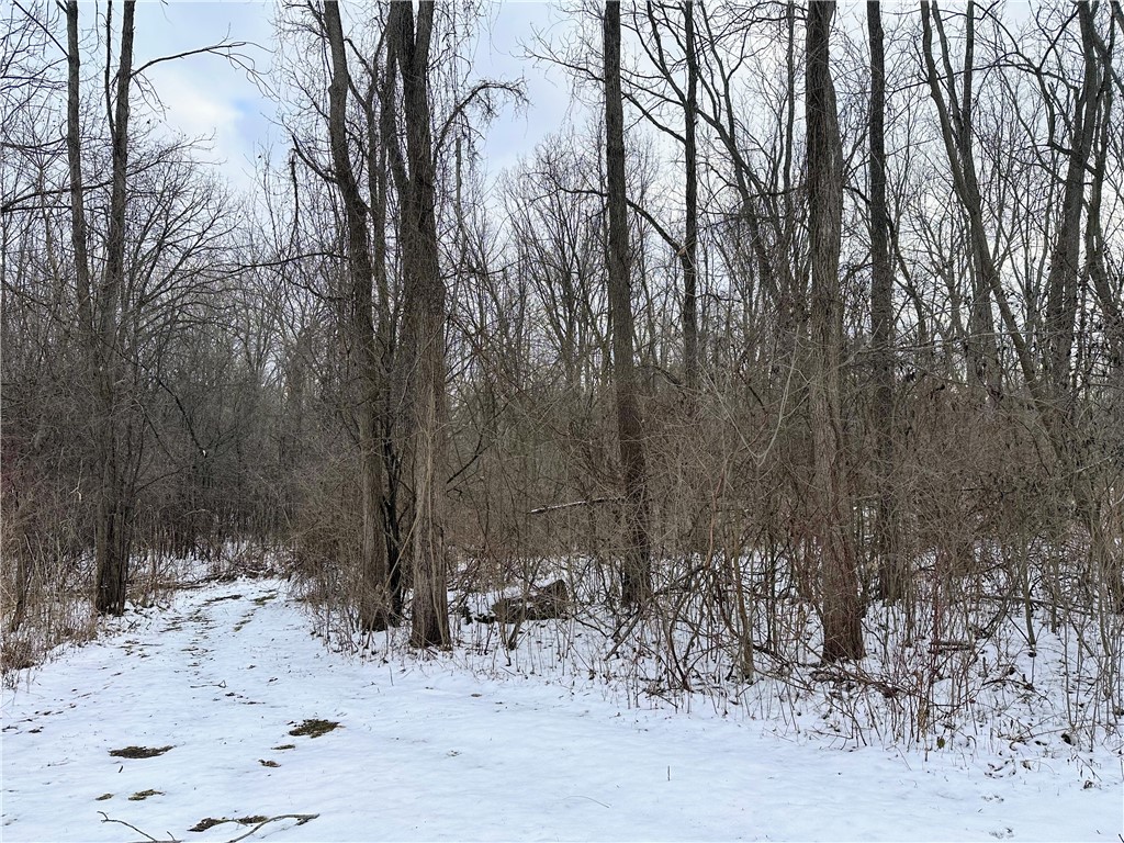 1363 Paul Road Chili, NY 14428 - Photo 22 of 24