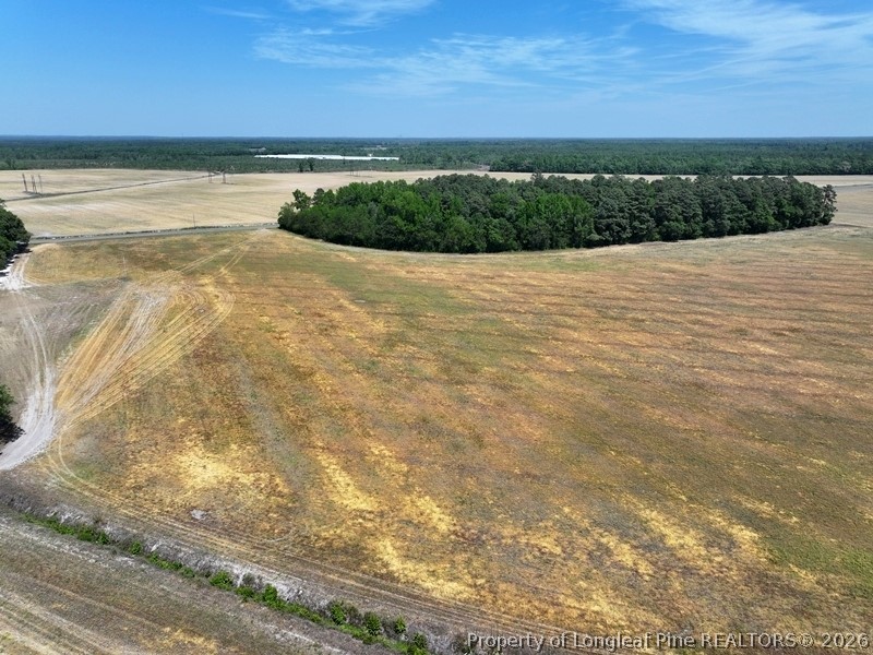 Tbd North Duffie Road Red Springs, NC 28377 - Photo 12 of 24