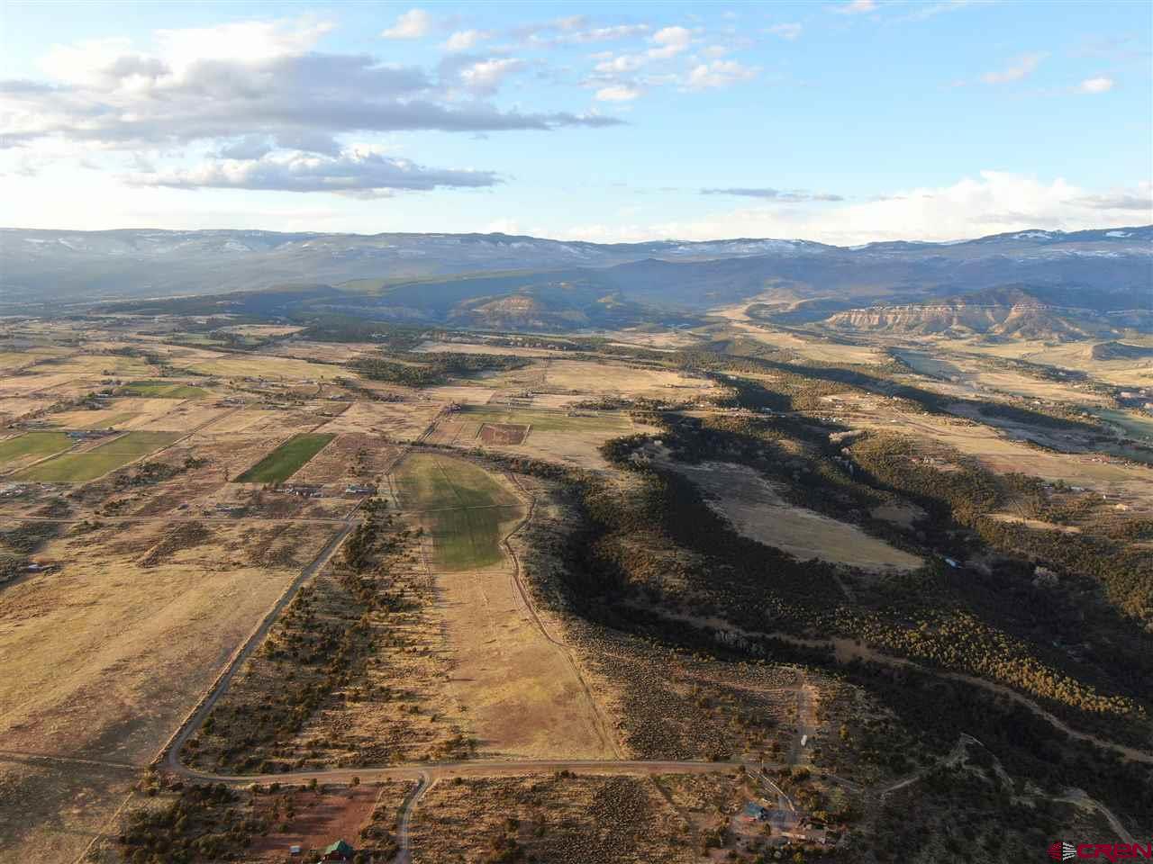 26380 Cedar Mesa Road Cedaredge, CO 81413 - Photo 6 of 11 Gallery Image 6
