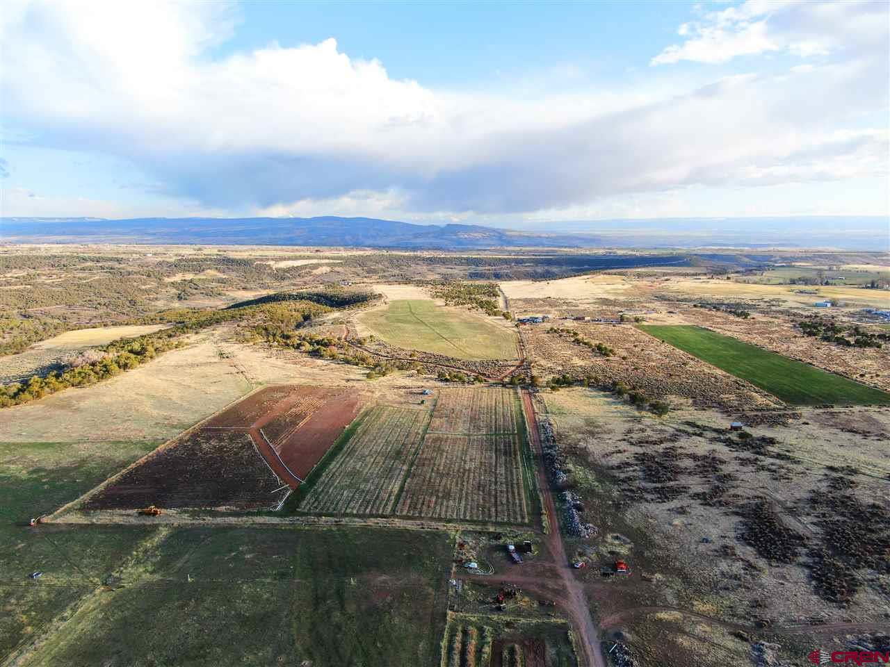 26380 Cedar Mesa Road Cedaredge, CO 81413 - Photo 10 of 11 Gallery Image 10