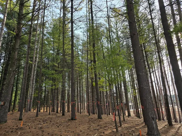 $119,900 | 7855 Indian Lore Road, Unit 15, Farmington, WI 53090