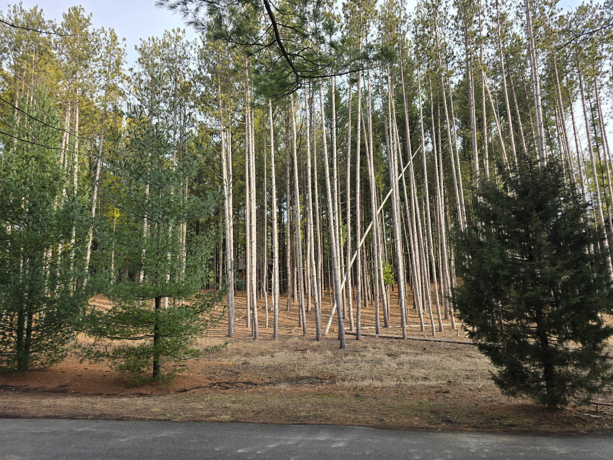 7855 Indian Lore Road, Unit 15 Farmington, WI 53090 - Photo 3 of 5 2