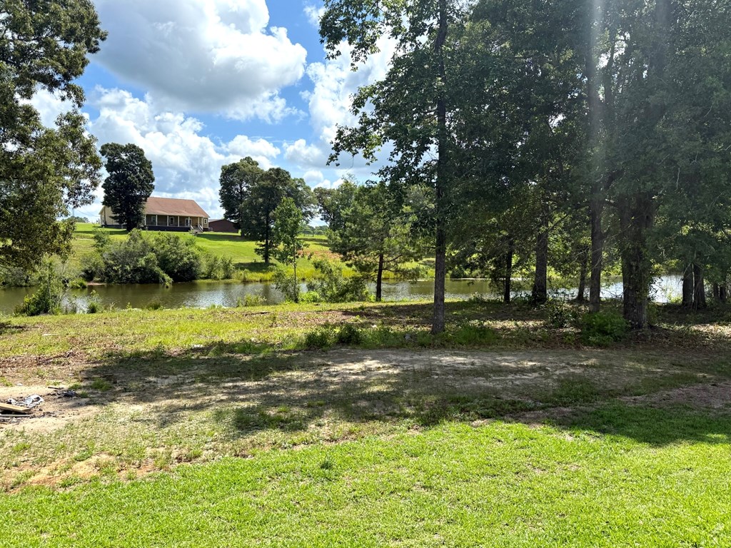 245 County Road 422 Abbeville, AL 36310 - Photo 5 of 39