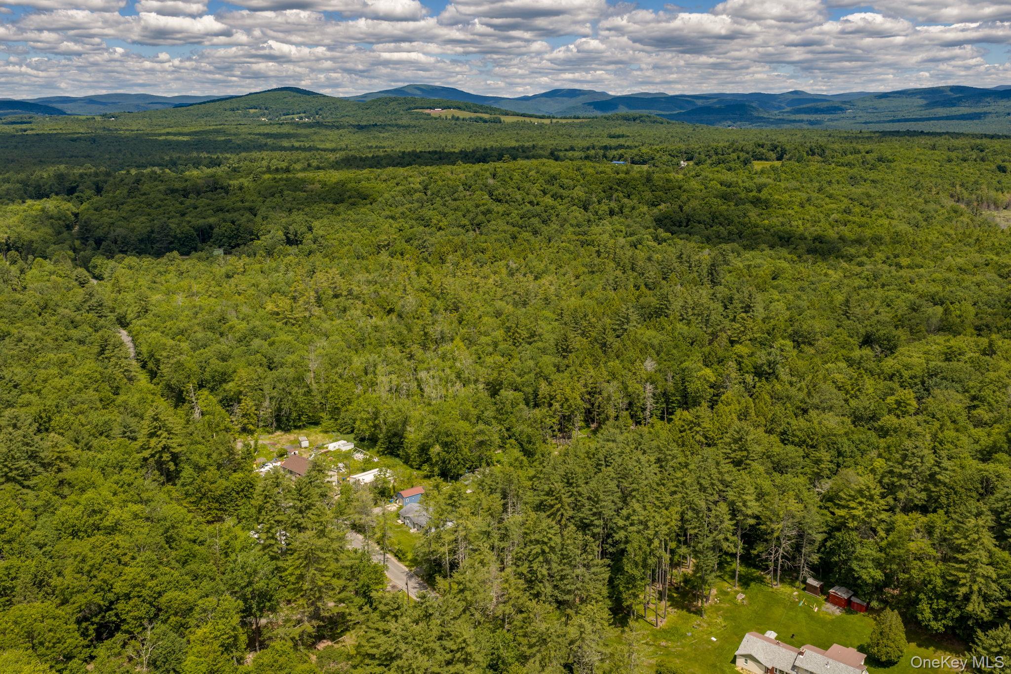 570 Brown Road Ellenville, NY 12428 - Photo 29 of 33