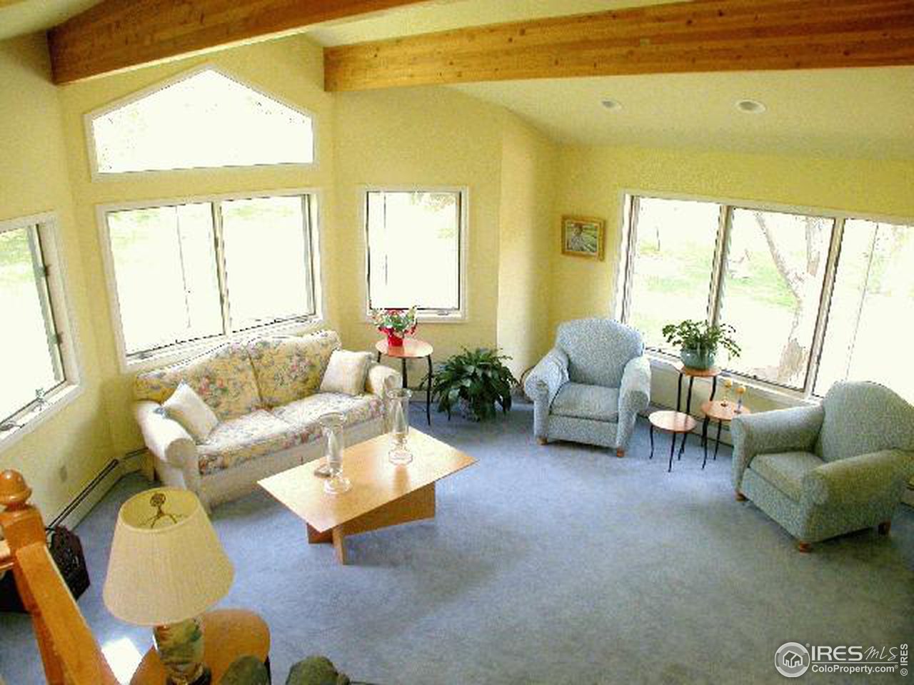 558 Apple Valley Road Lyons, CO 80540 - Photo 3 of 9