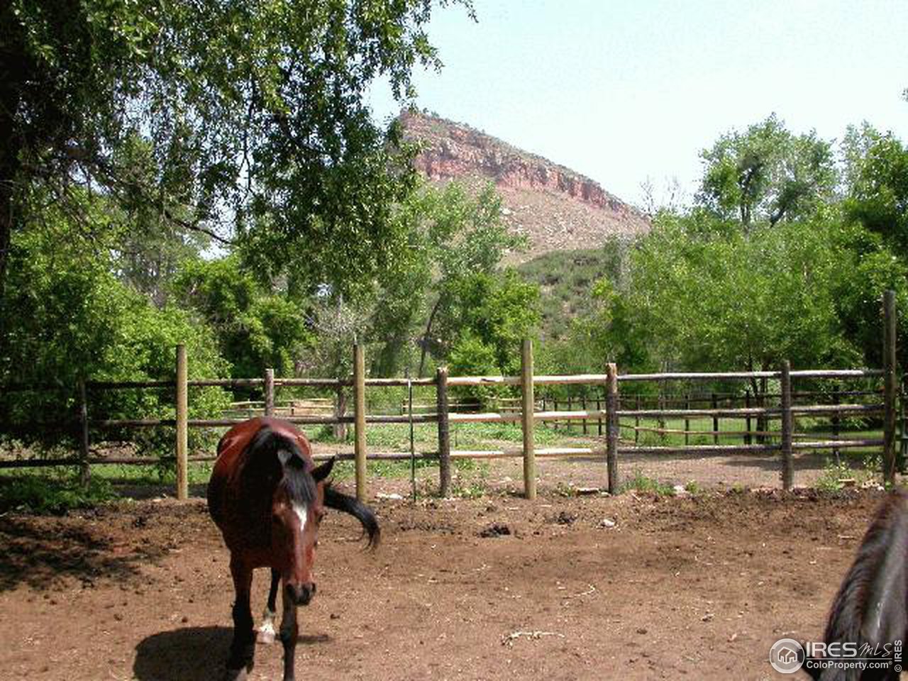 558 Apple Valley Road Lyons, CO 80540 - Photo 8 of 9