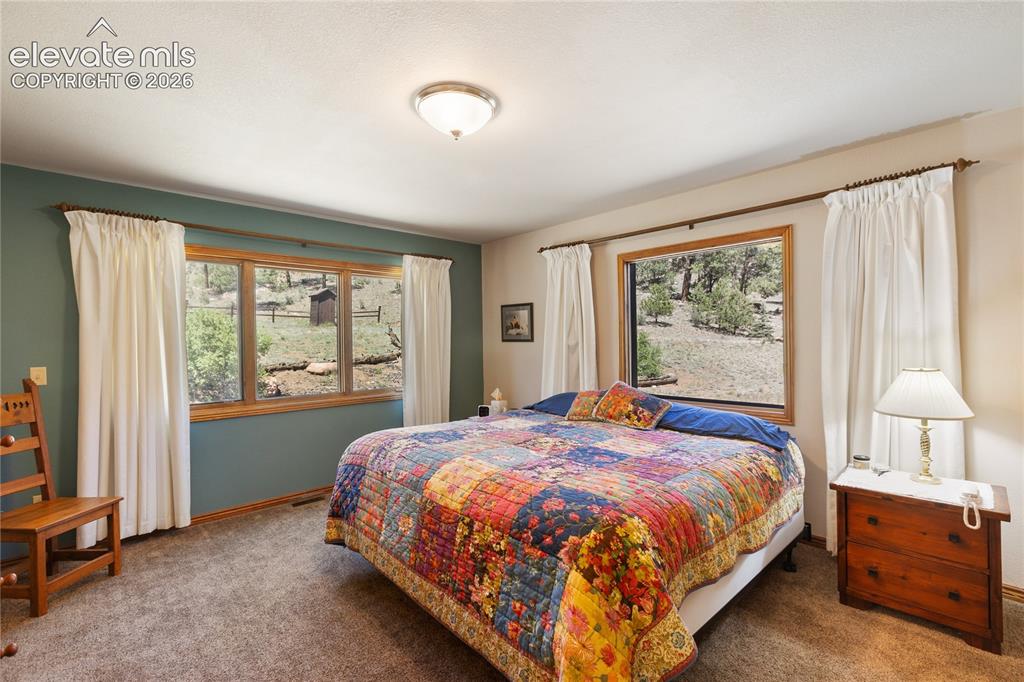 146 Toms Ranch Rd Lake Lake George, CO 80827 - Photo 21 of 30