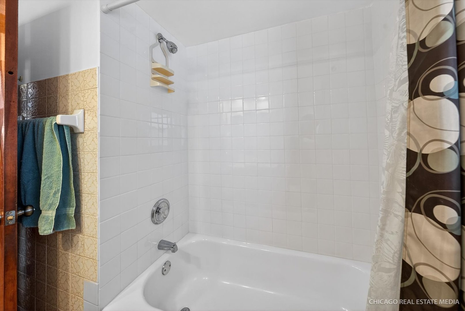 871 South Chatham Avenue Addison, IL 60101 - Photo 13 of 22