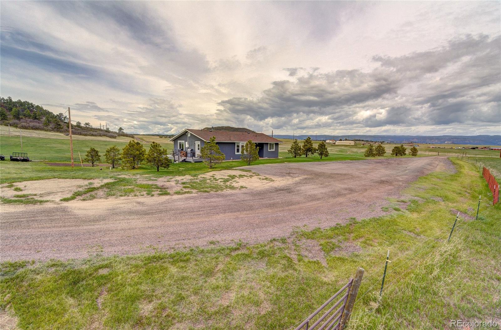 4531 East Best Road Larkspur, CO 80118 - Photo 42 of 49 a view of a yard with an trees