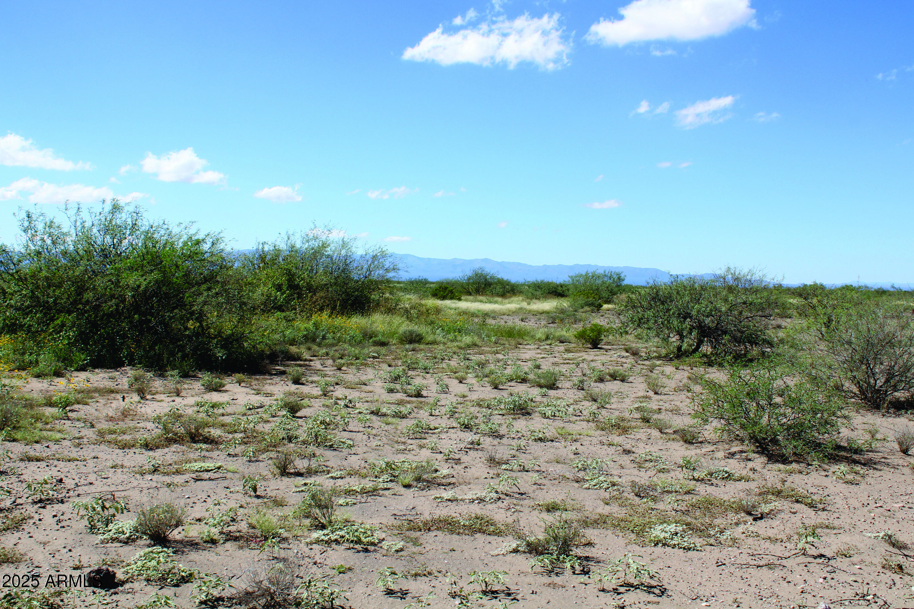 8.59-acres North Leslie Canyon Road, Unit 29A Douglas, AZ 85607 - Photo 12 of 17 a view of a dry yard with mountains in the background