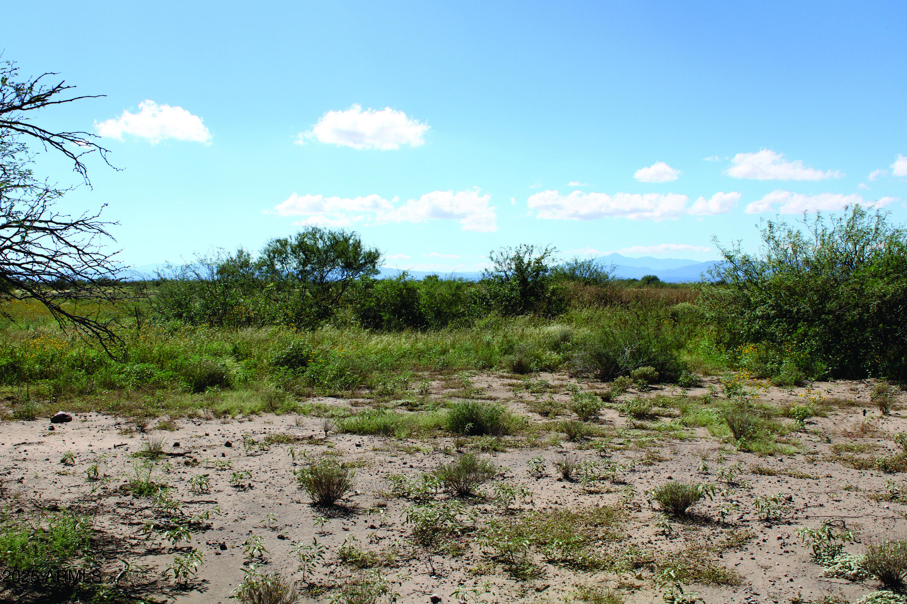 8.59-acres North Leslie Canyon Road, Unit 29A Douglas, AZ 85607 - Photo 13 of 17 a view of a dry yard with trees