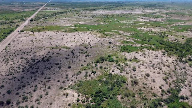 a view of a yard with a wooden fence