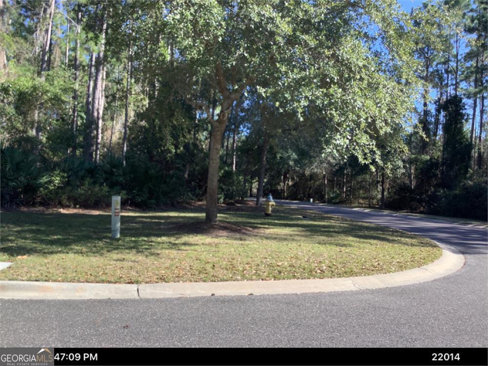 100 Amberjack Loop St. Marys, GA 31558 - Photo 14 of 16 a view of a backyard with large trees
