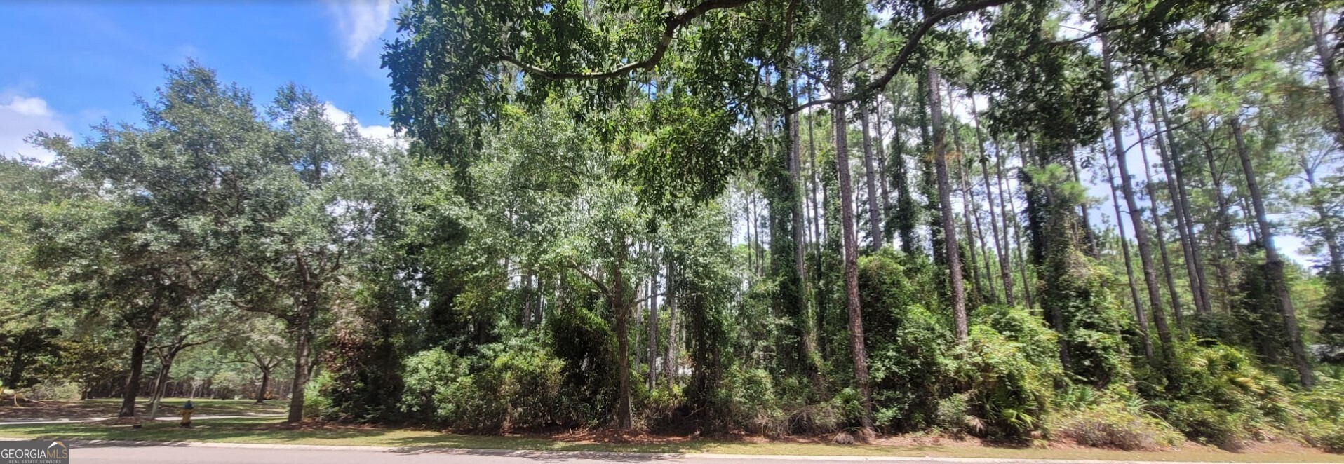 100 Amberjack Loop St. Marys, GA 31558 - Photo 15 of 16 a view of a yard with plants