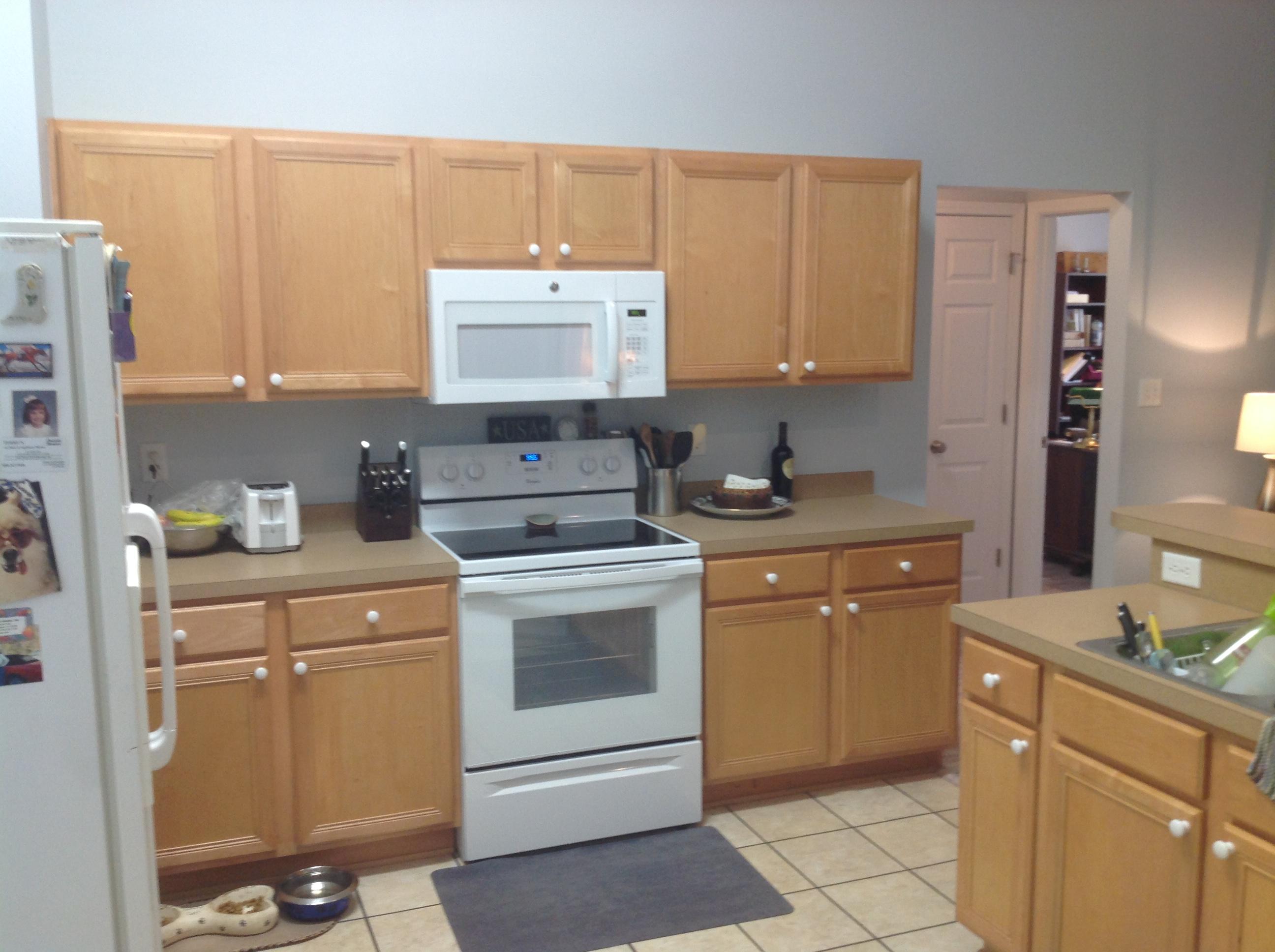179 Bayou Landing Road Miramar Beach, FL 32550 - Photo 8 of 17 Kitchen