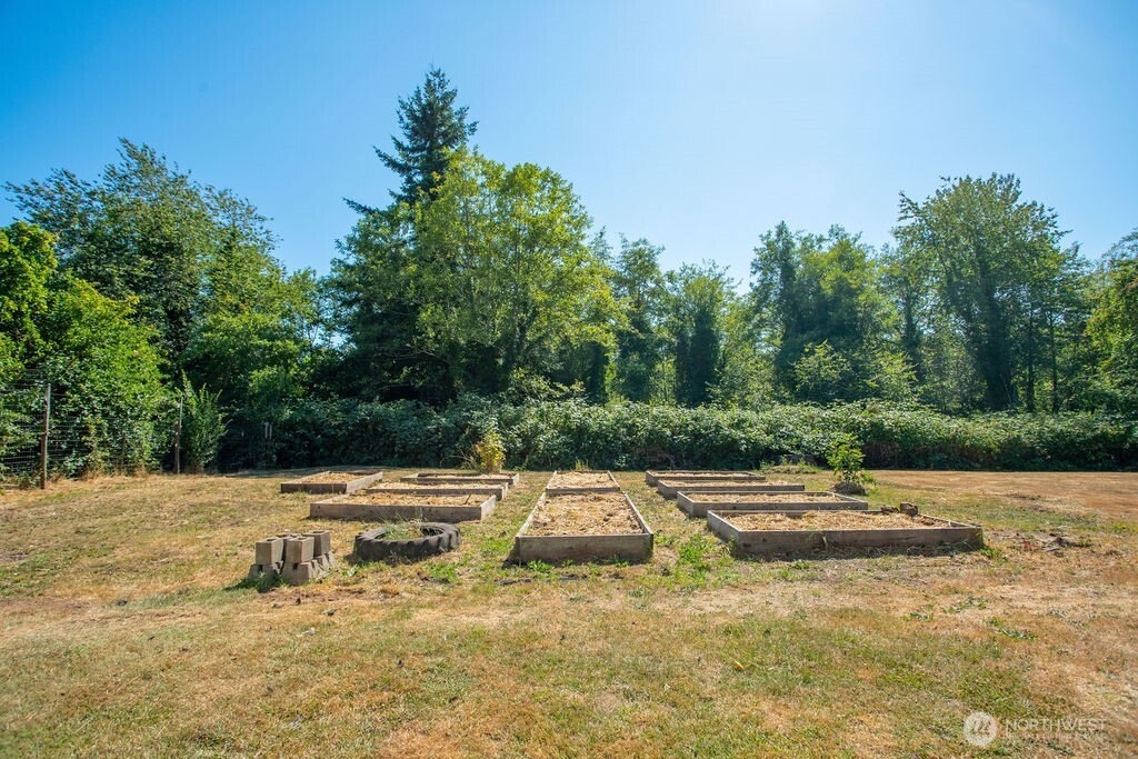 651 Jorgensen Road Onalaska, WA 98570 - Photo 22 of 36 a view of yard with tree