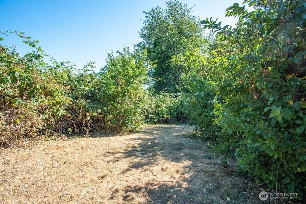 651 Jorgensen Road Onalaska, WA 98570 - Photo 24 of 36 a view of a yard with plants and trees