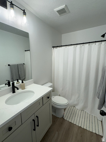 4774 Alder Drive Mapleton, UT 84664 - Photo 19 of 27 Bathroom with vanity, dark wood-style floors, a shower with curtain, and a textured ceiling