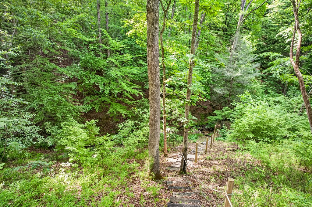 285 Julep Circle Ellijay, GA 30540 - Photo 45 of 56