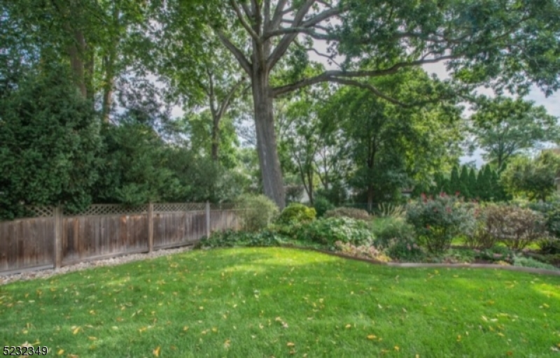 17 Bailey Road Millburn, NJ 07041 - Photo 24 of 24 a view of a backyard with large trees and wooden fence