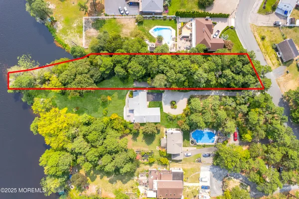 a view of a bunch of flowers