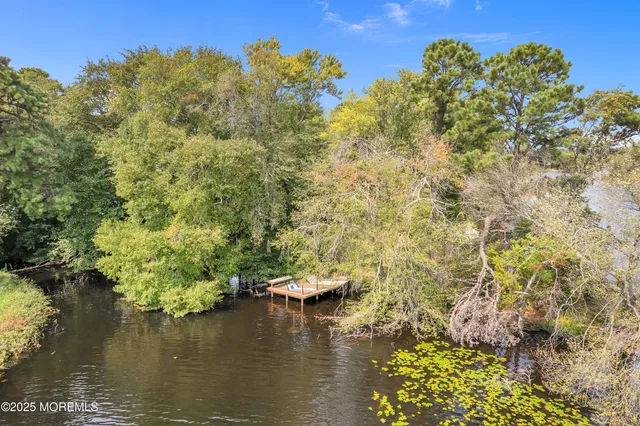 a view of a garden with a slide