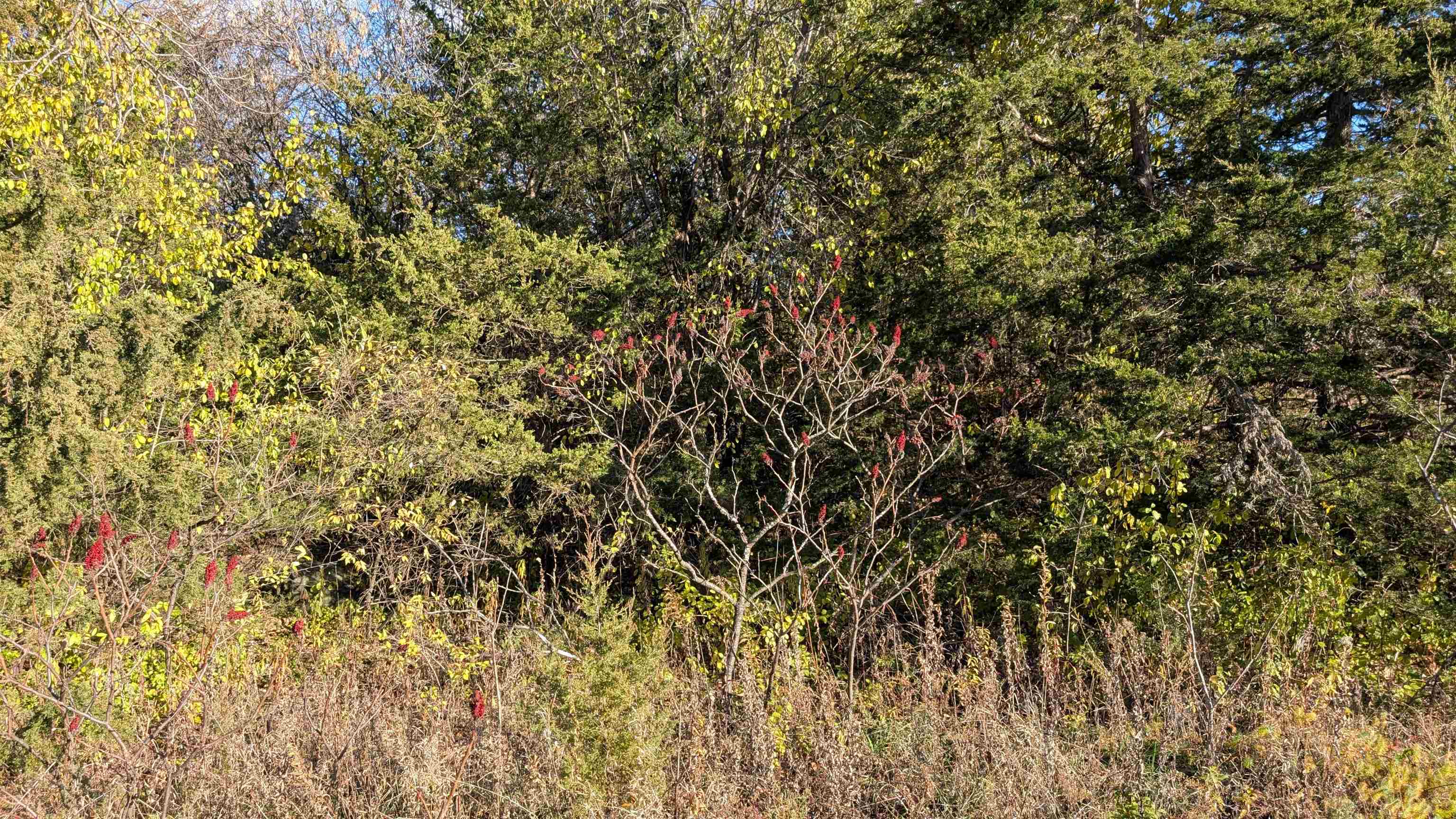 L14 Oak Markesan, WI 53946 - Photo 3 of 14