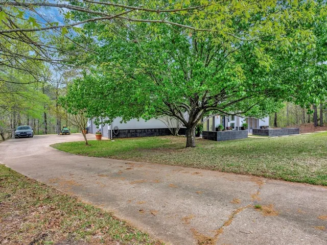 a view of road and trees