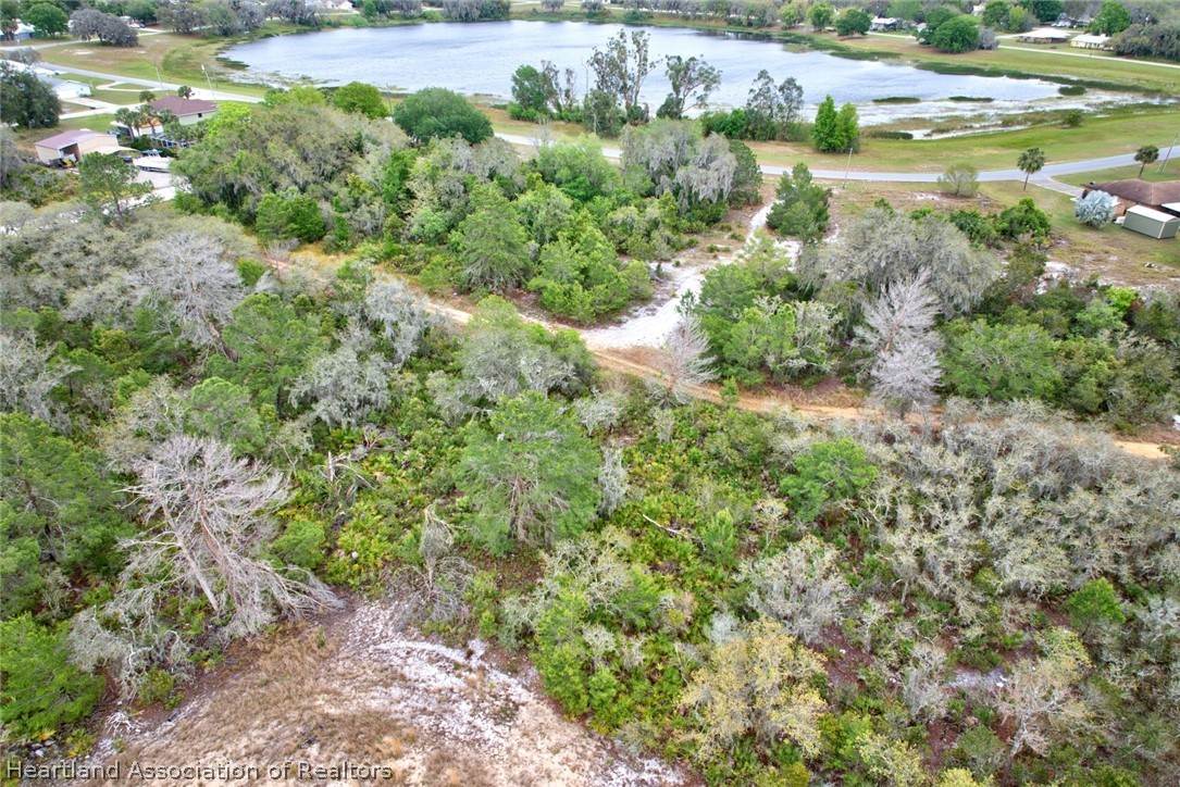 2521 Mason Road Avon Park, FL 33825 - Photo 3 of 7 a view of a garden with a lake