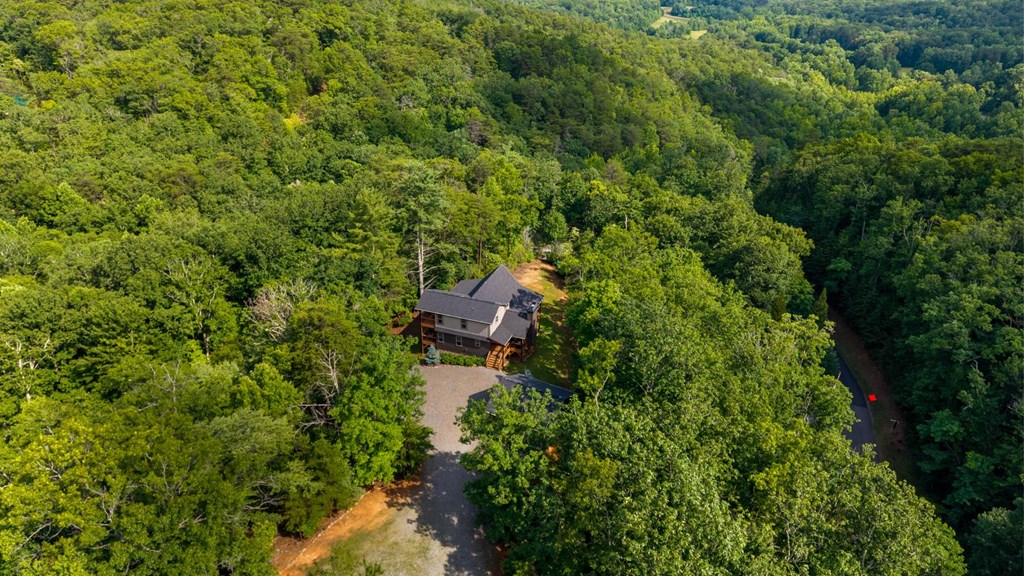 57 Gentle Ponds View Murphy, NC 28906 - Photo 31 of 61