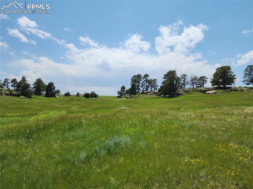 94 County Road Elbert, CO 80106 - Photo 13 of 20 a view of a field of grass and trees