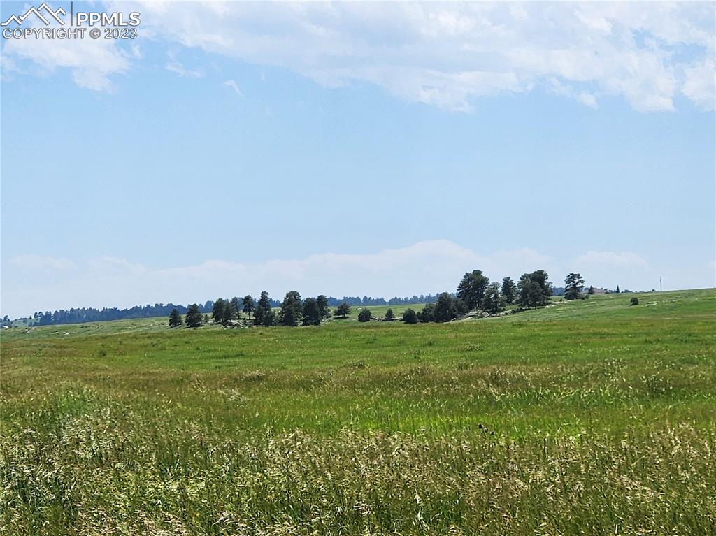 94 County Road Elbert, CO 80106 - Photo 14 of 20 a view of a grassy field