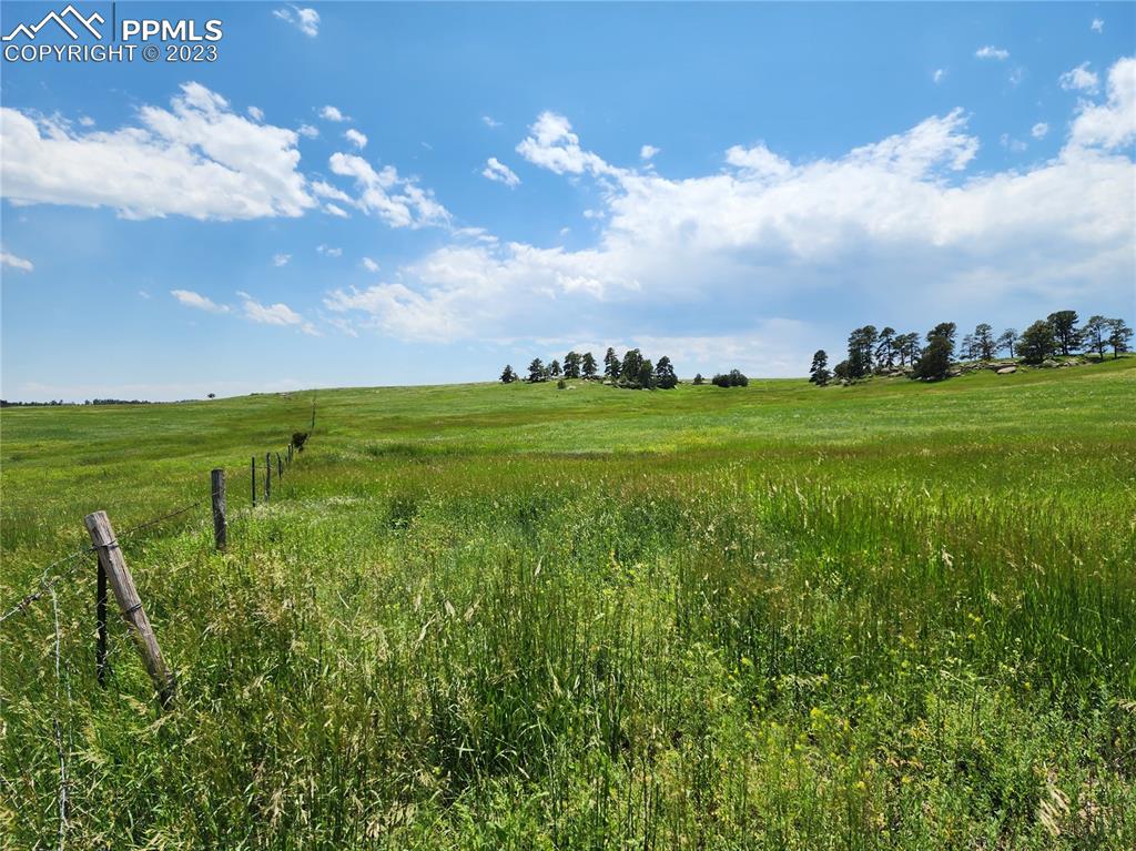 94 County Road Elbert, CO 80106 - Photo 15 of 20 a view of a big room with a big yard