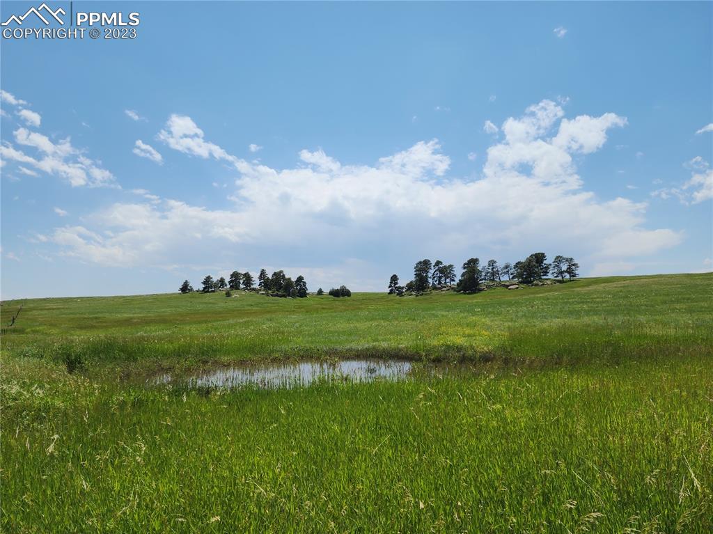 94 County Road Elbert, CO 80106 - Photo 16 of 20 a view of yard with grass & street