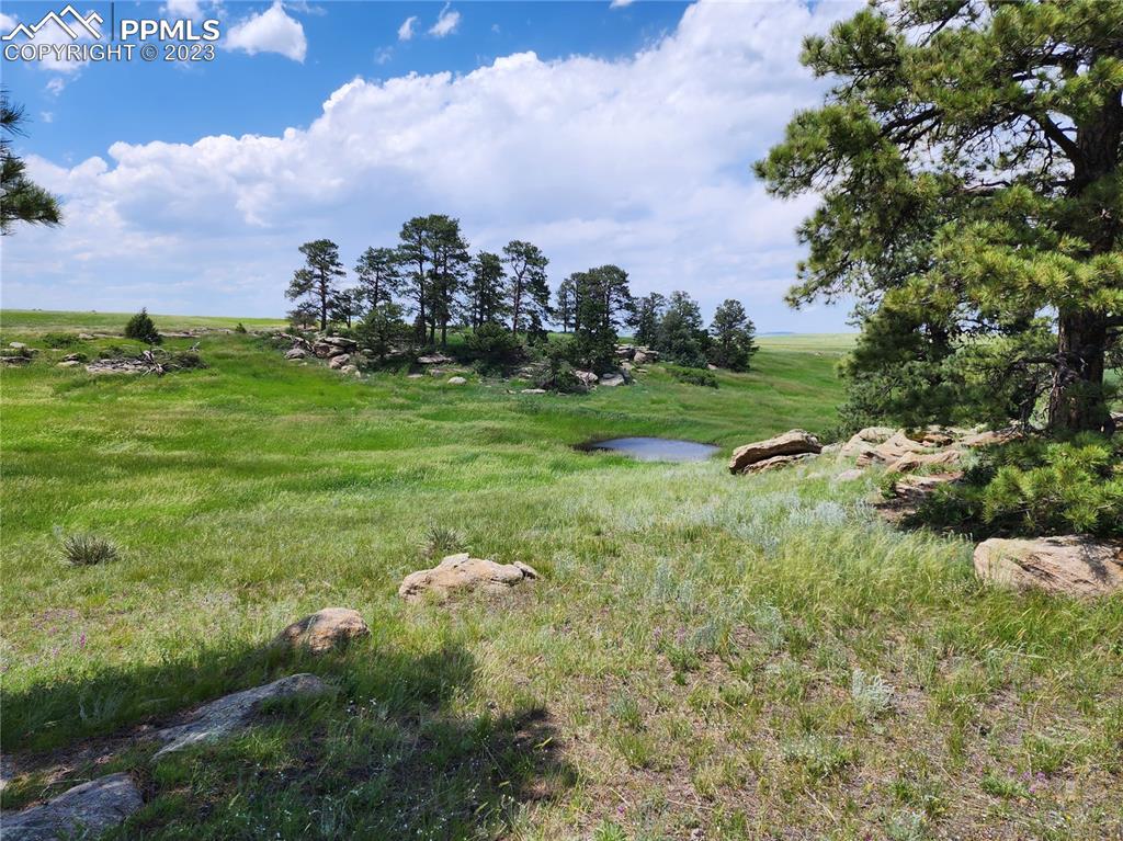94 County Road Elbert, CO 80106 - Photo 2 of 20 a backyard of a house with lots of green space