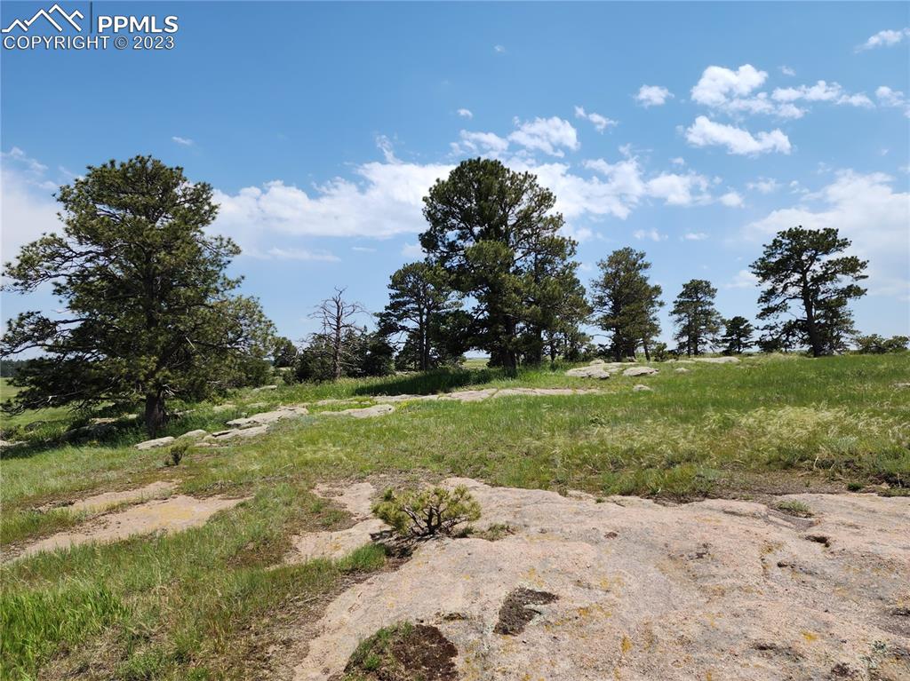94 County Road Elbert, CO 80106 - Photo 4 of 20 a view of a park with large trees