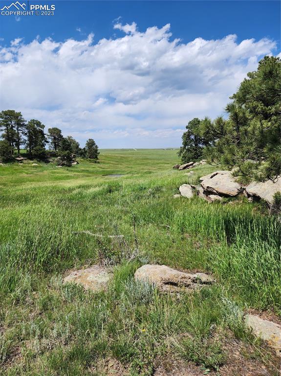 94 County Road Elbert, CO 80106 - Photo 6 of 20 a view of a green field with lots of green space