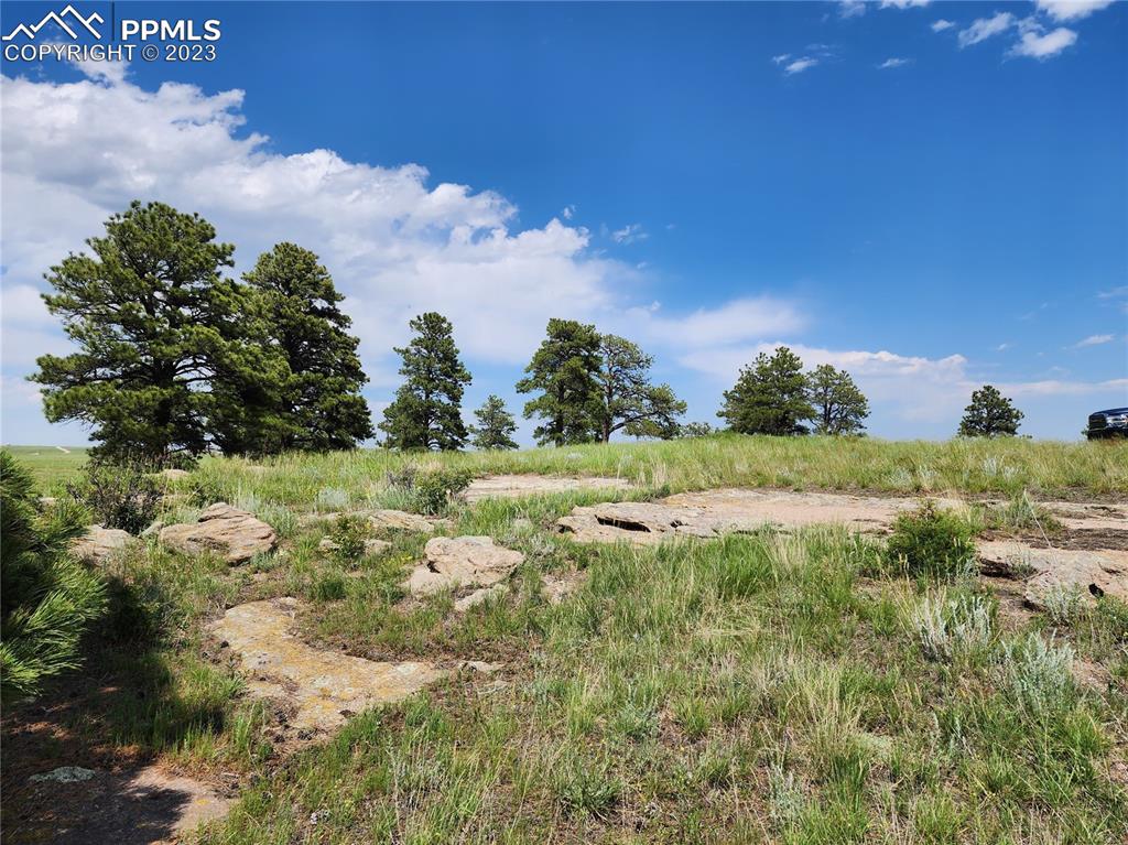 94 County Road Elbert, CO 80106 - Photo 7 of 20 a view of a lake with a yard