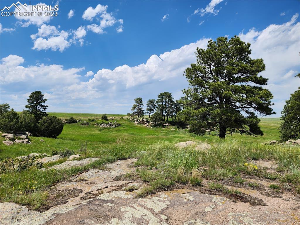94 County Road Elbert, CO 80106 - Photo 8 of 20 a backyard of a house with lots of green space