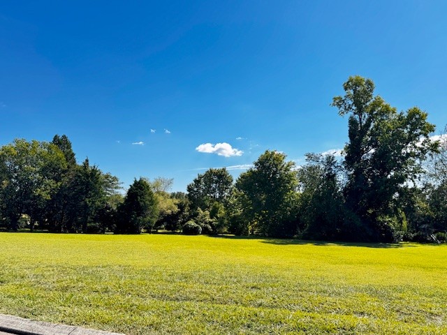 0 Ridgecrest Drive Winchester, TN 37398 - Photo 4 of 5 a view of an ocean from a yard