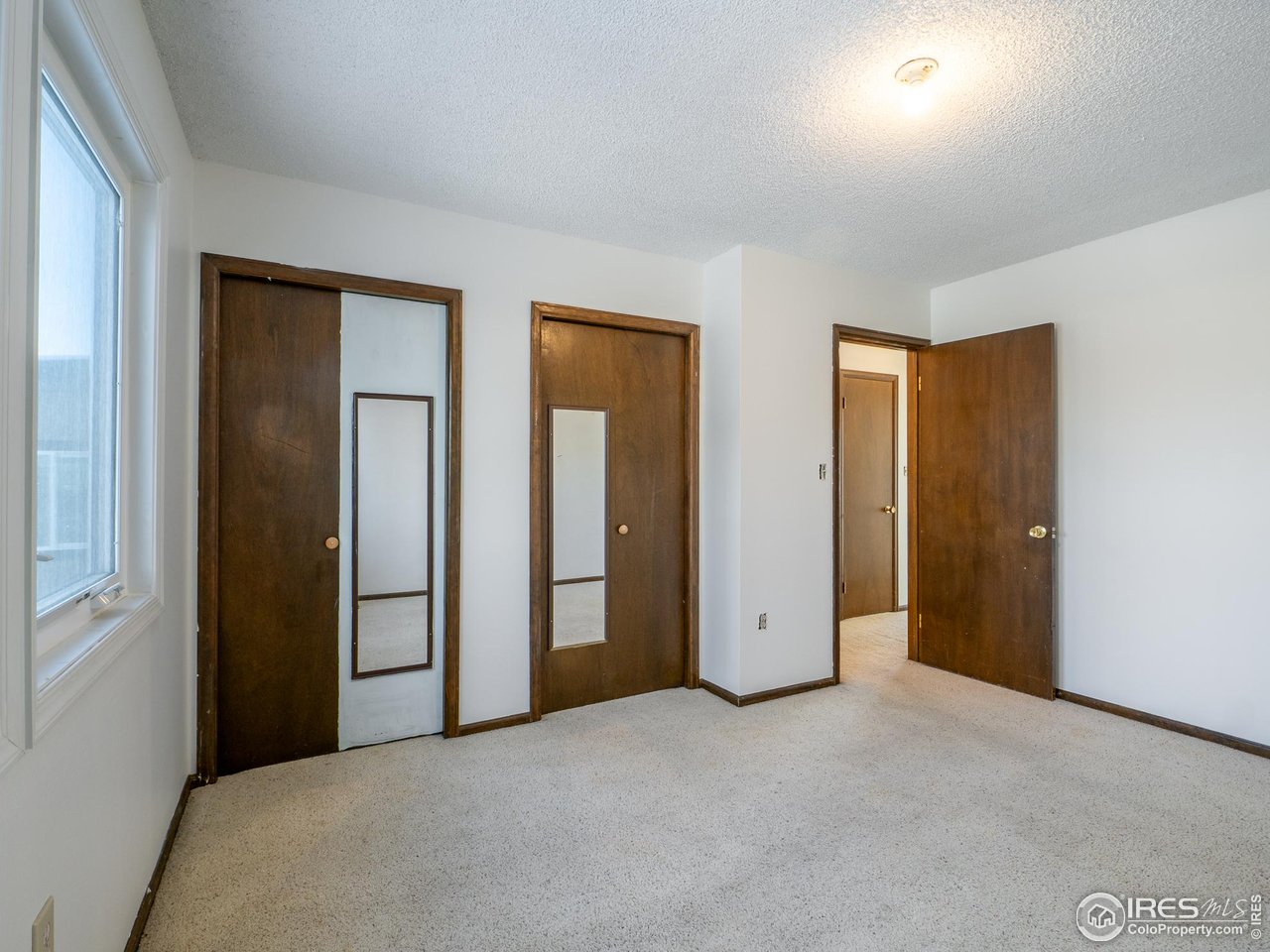 14 Daisy Court Windsor, CO 80550 - Photo 11 of 42