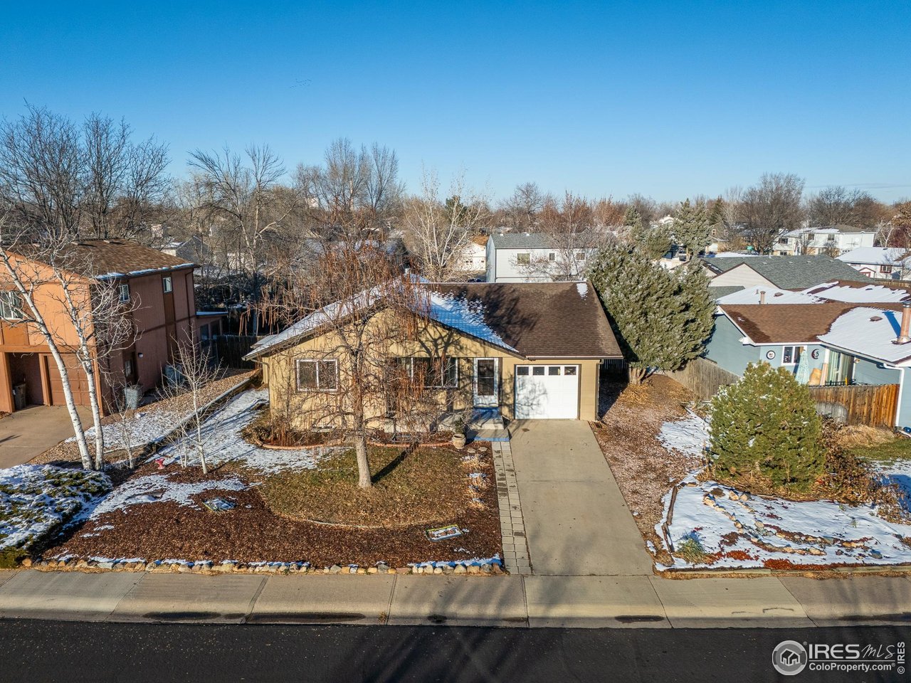 14 Daisy Court Windsor, CO 80550 - Photo 2 of 42 Exterior
