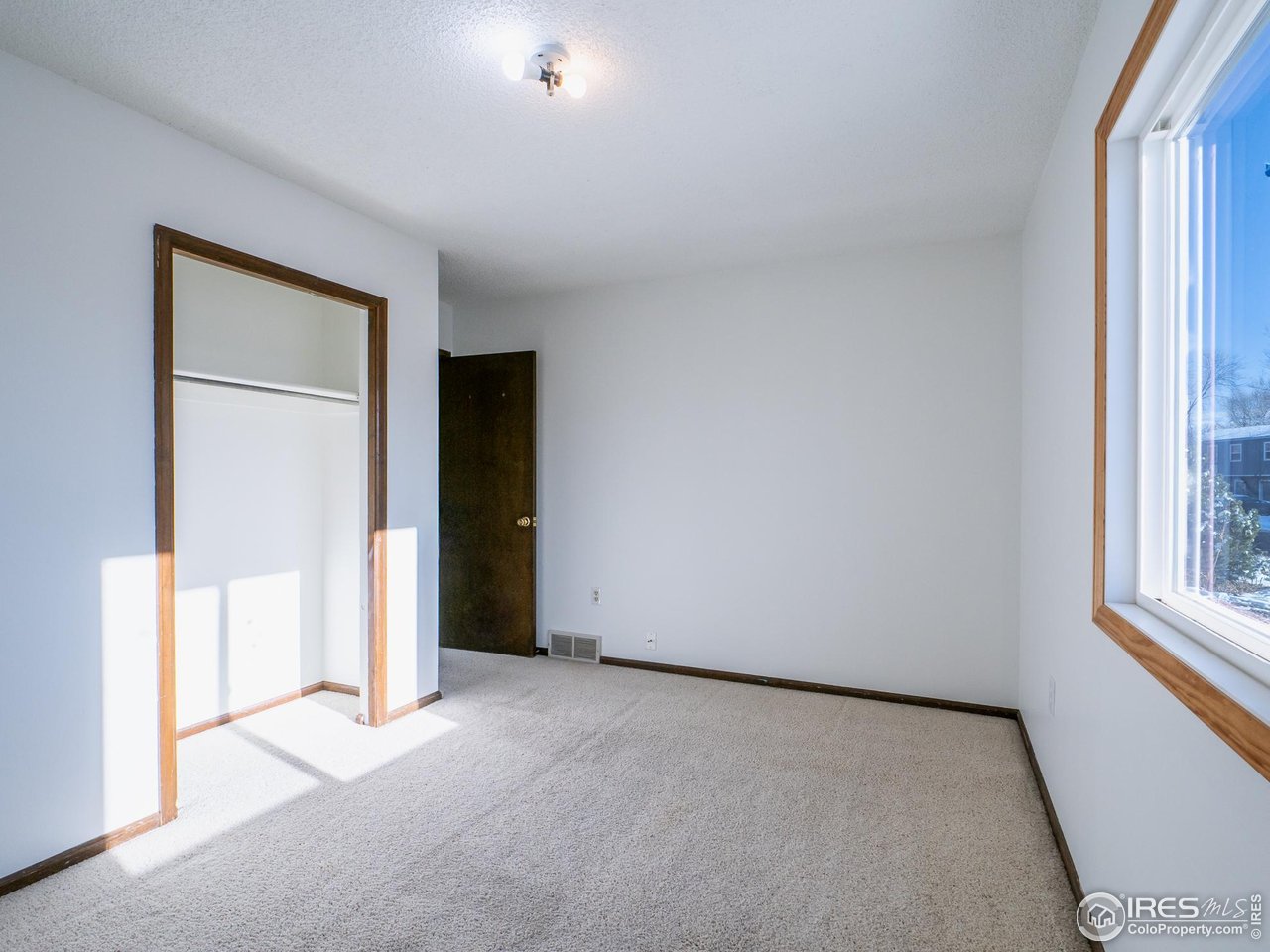 14 Daisy Court Windsor, CO 80550 - Photo 23 of 42 Bright and Sunny Front Living Room