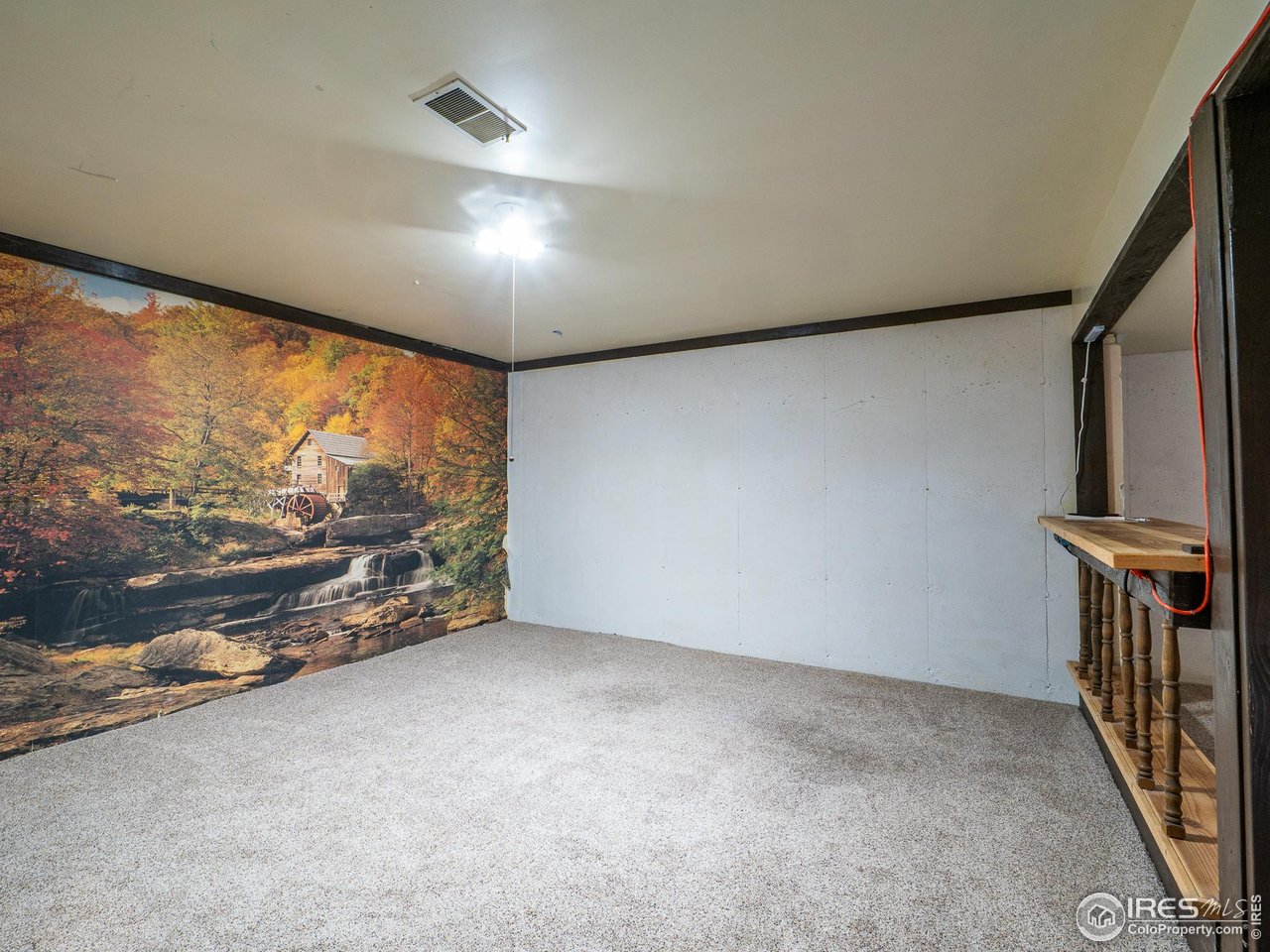 14 Daisy Court Windsor, CO 80550 - Photo 28 of 42 Basement Rec Room